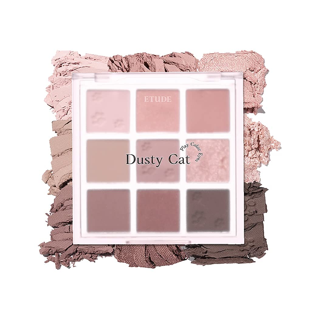 Etude House   (LeoJ)Play Color Eyes#DustyCat(21.06